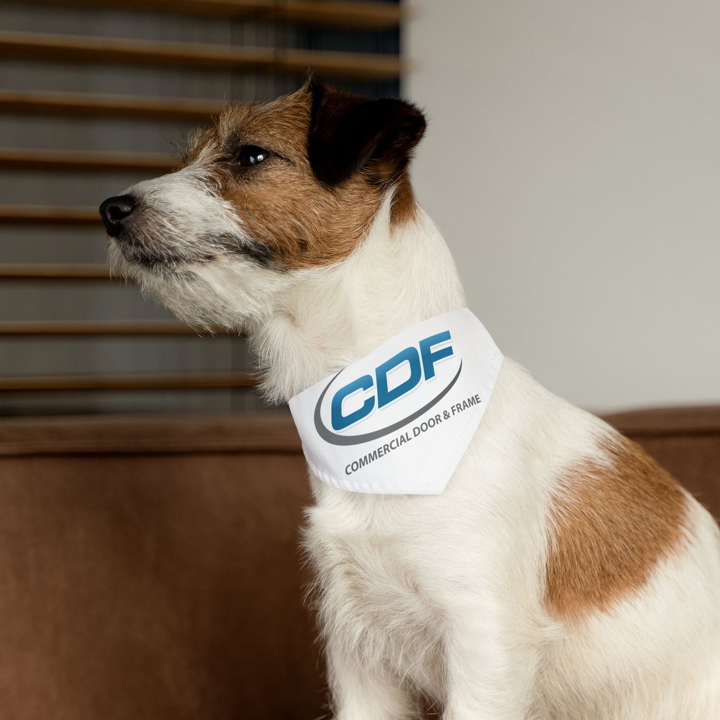 Pet Bandana Collar - CDF