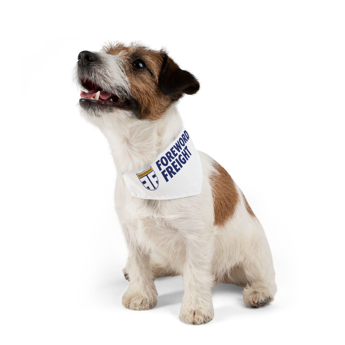 Pet Bandana Collar - Foreword Freight