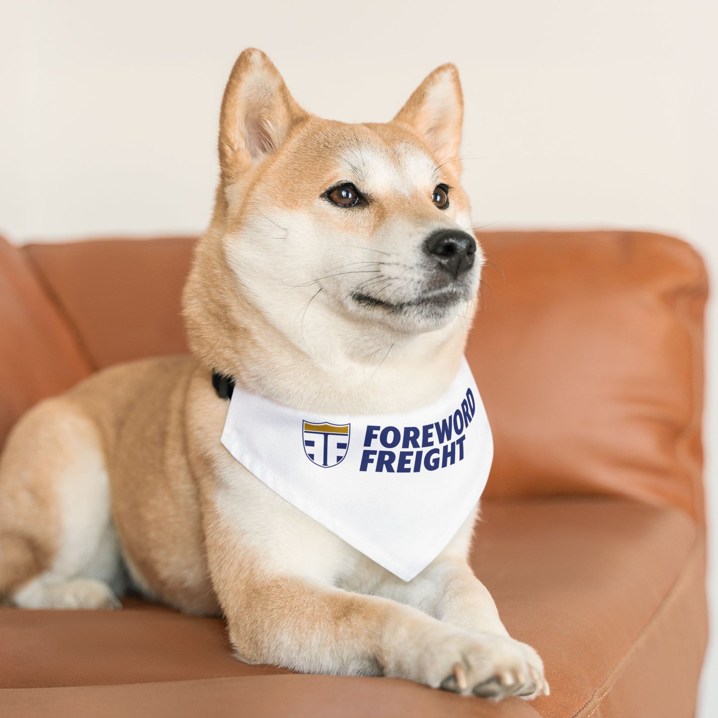 Pet Bandana Collar - Foreword Freight