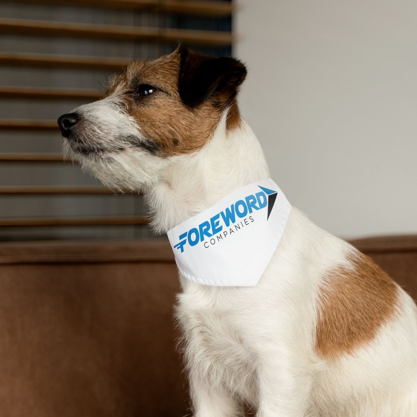 Pet Bandana Collar