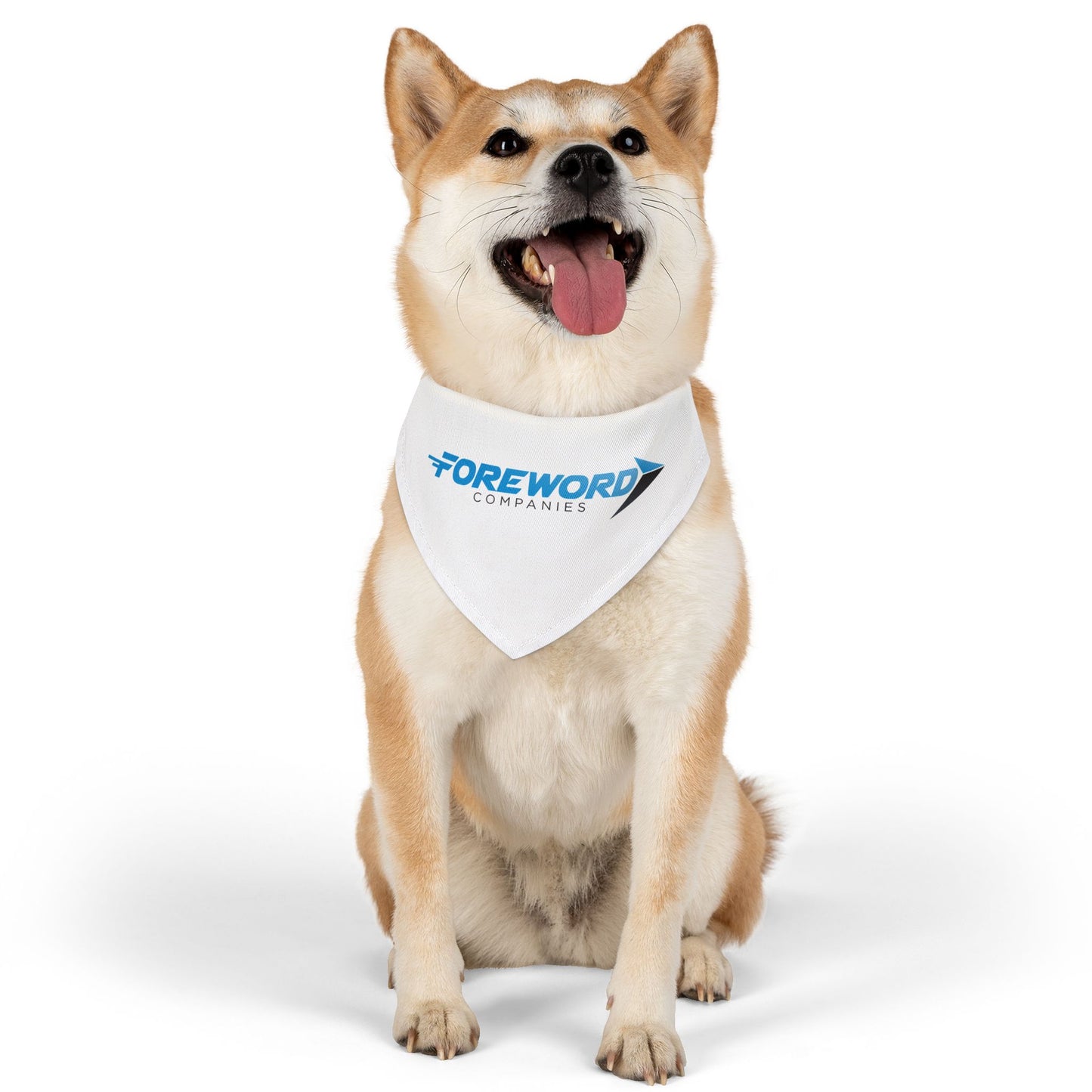 Pet Bandana Collar